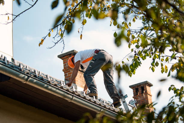 Best Roof Maintenance Services  in Trowbridge Park, MI