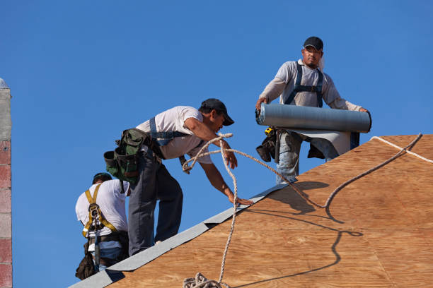 Best Heating Cable for Roof Installation  in Trowbridge Park, MI