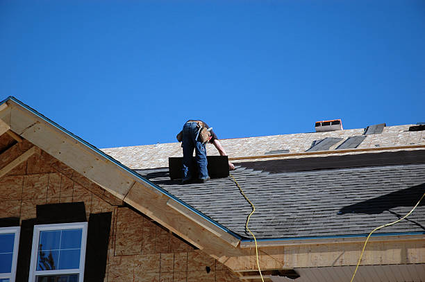 Best Roof Repair Services  in Trowbridge Park, MI