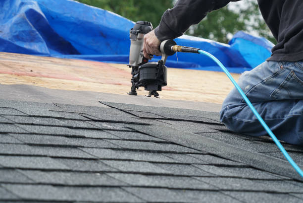 Best Roof Gutter Cleaning  in Trowbridge Park, MI