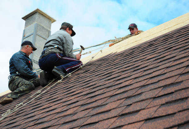 Best Roof Repair Services  in Trowbridge Park, MI