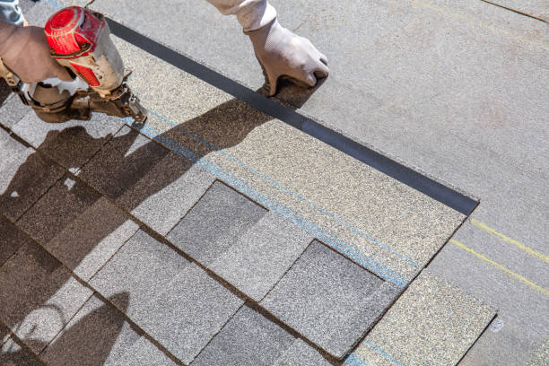 Best Roof Leak Repair  in Trowbridge Park, MI