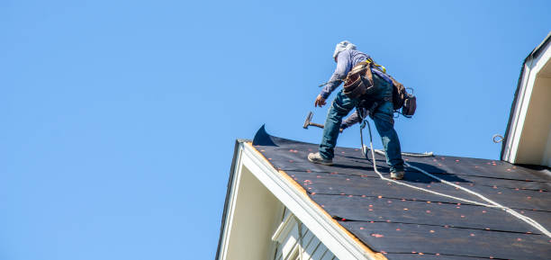 Best Commercial Roofing Services  in Trowbridge Park, MI